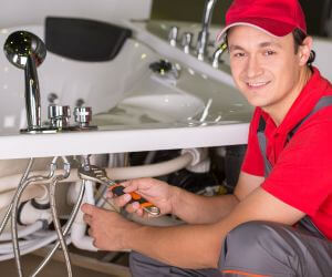 About Emergency plumbing pros Cottekill, NY